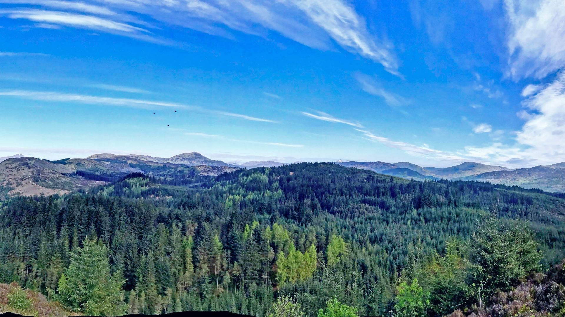 Go Ape Aberfoyle Location